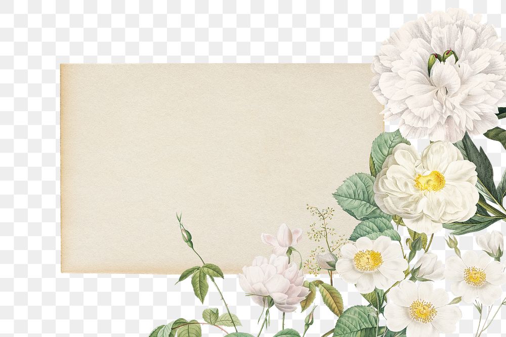 Flower png frame, transparent background, remix from the artworks of Pierre Joseph Redout&eacute;