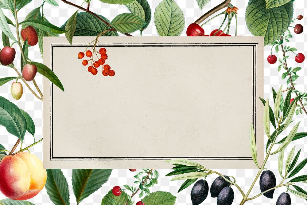 Colorful botanical png frame, transparent background, remix from the artworks of Pierre Joseph Redout&eacute;