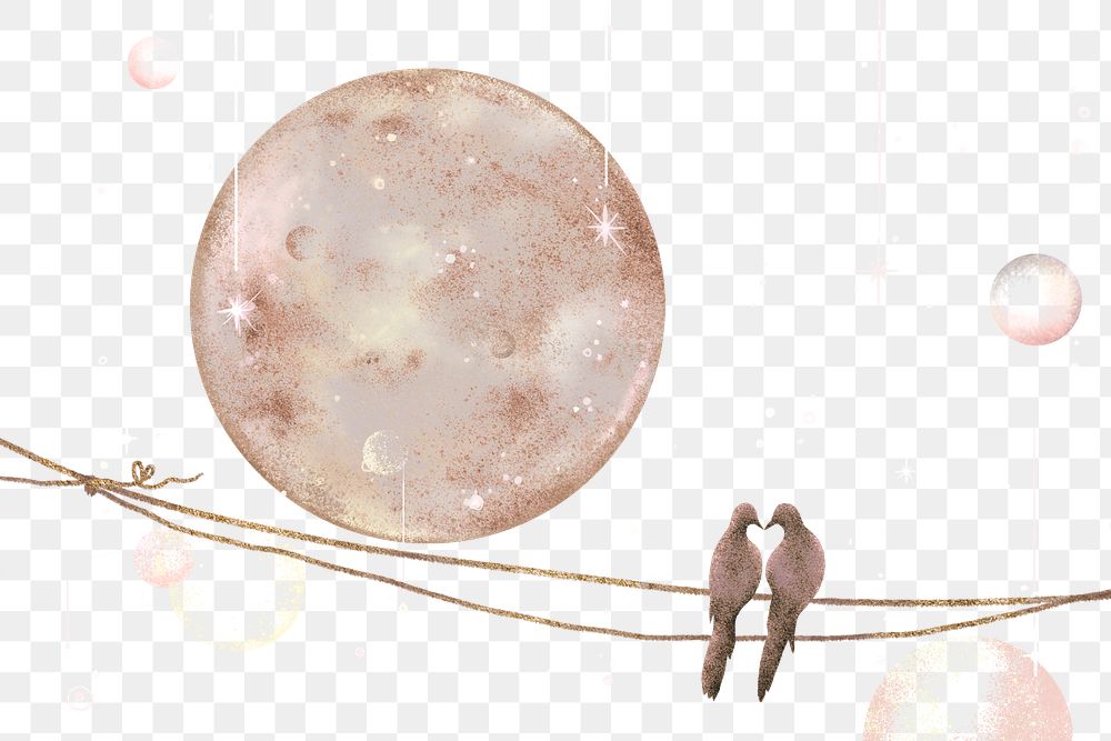Couple birds png sticker, pigeon sitting on a wire, transparent background 