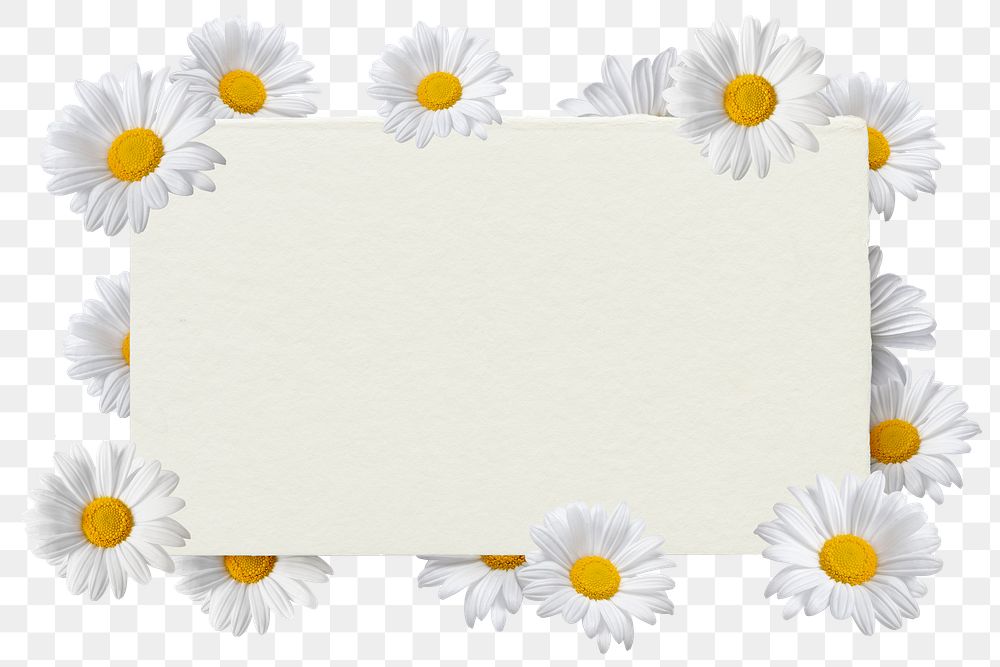 Png floral frame sticker, botanical design in transparent background