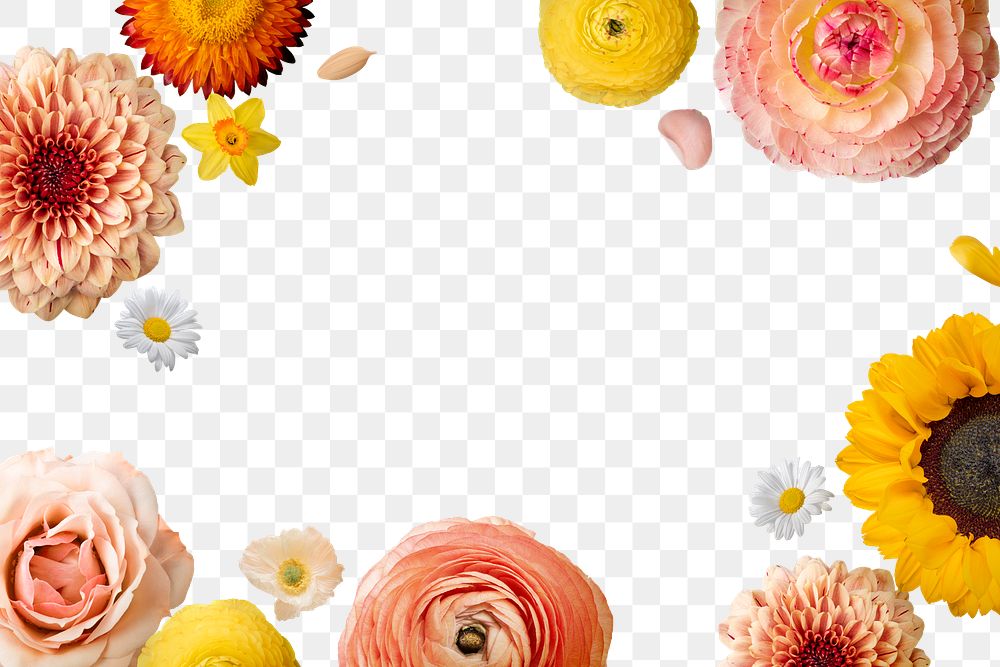 Colorful png flowers frame, floral design in transparent background