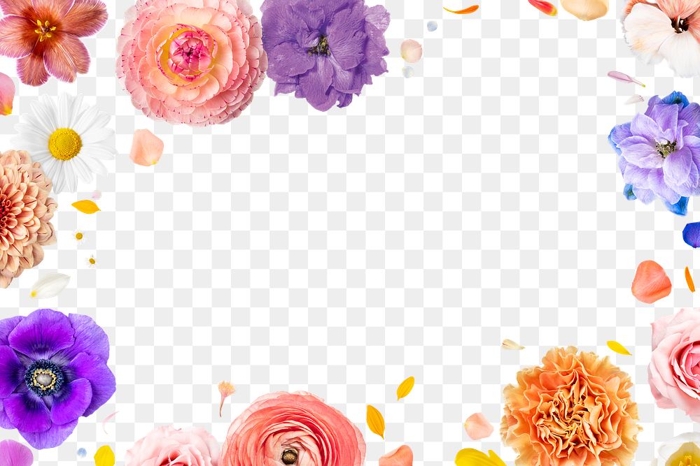 Colorful png flowers frame, floral design in transparent background