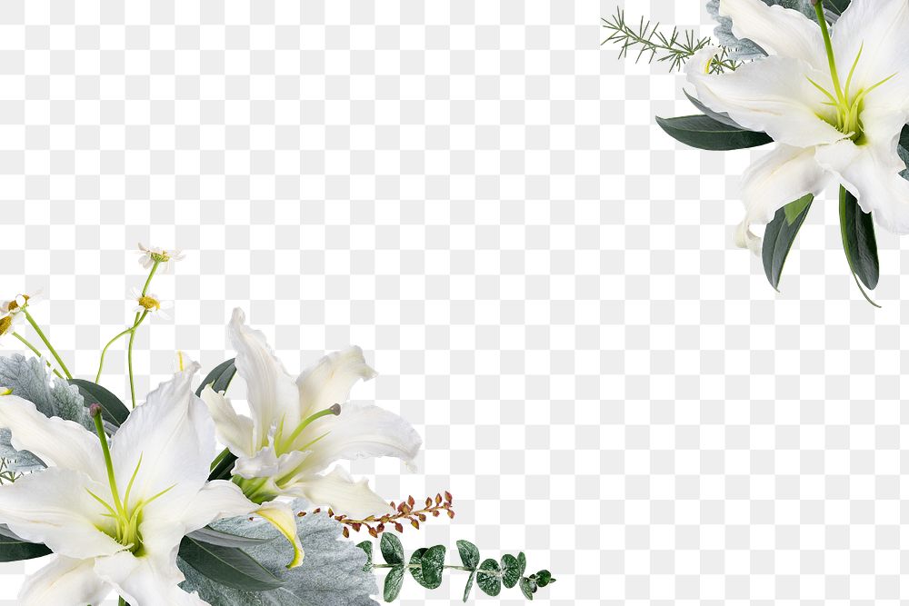 Png floral frame collage element, botanical design in transparent background 