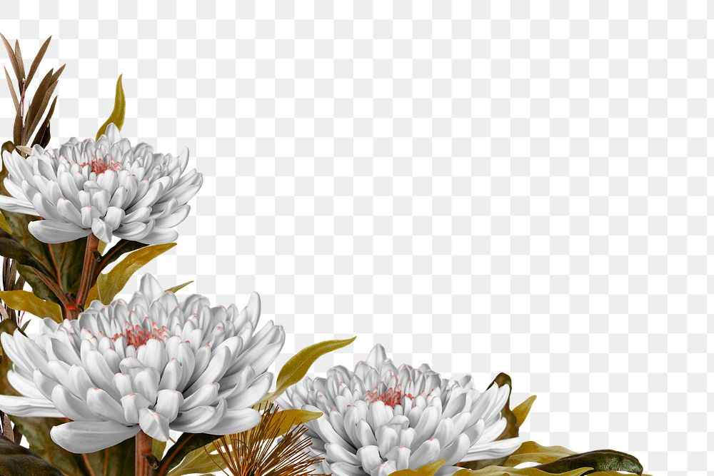 Png floral border sticker, botanical design in transparent background 