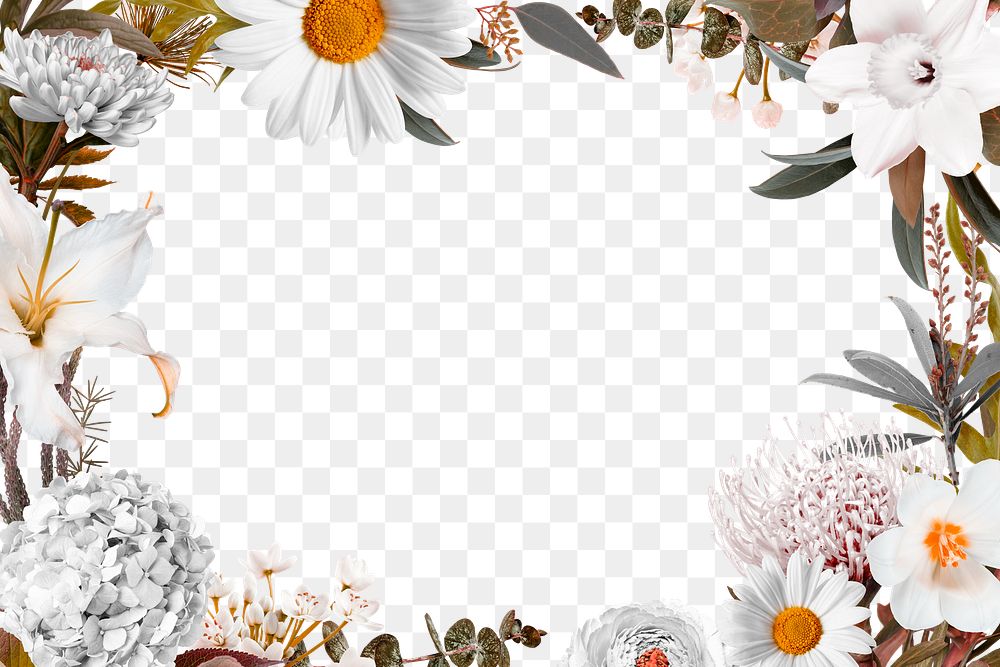 Png floral collage element, botanical design in transparent background 