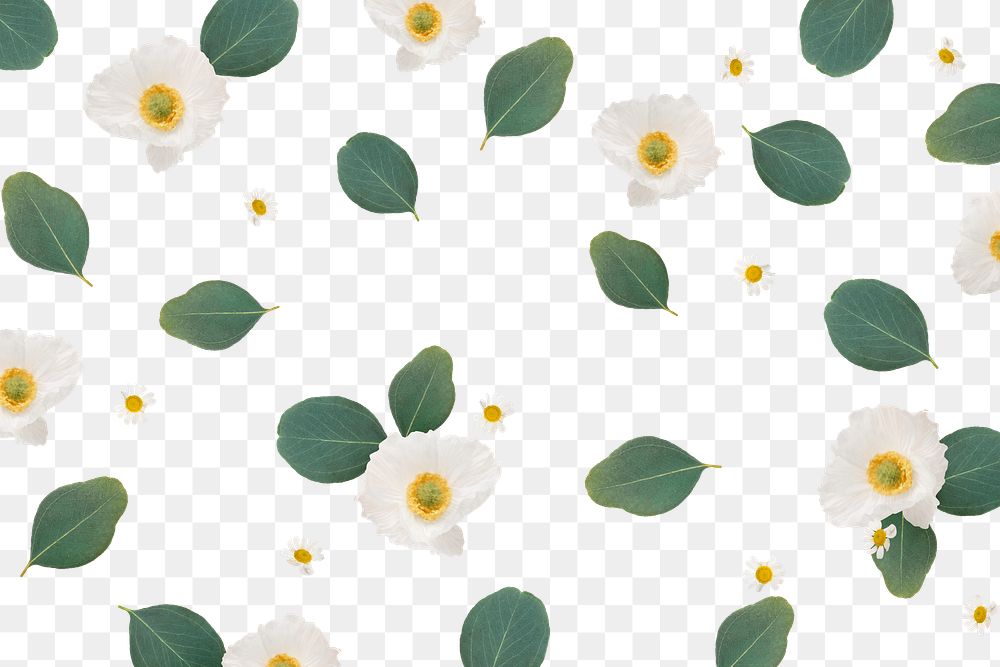 Floral pattern png, botanical, transparent background