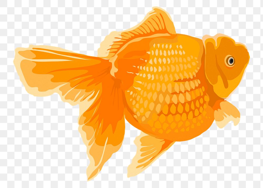 Goldfish png, pet animal illustration sticker, transparent background