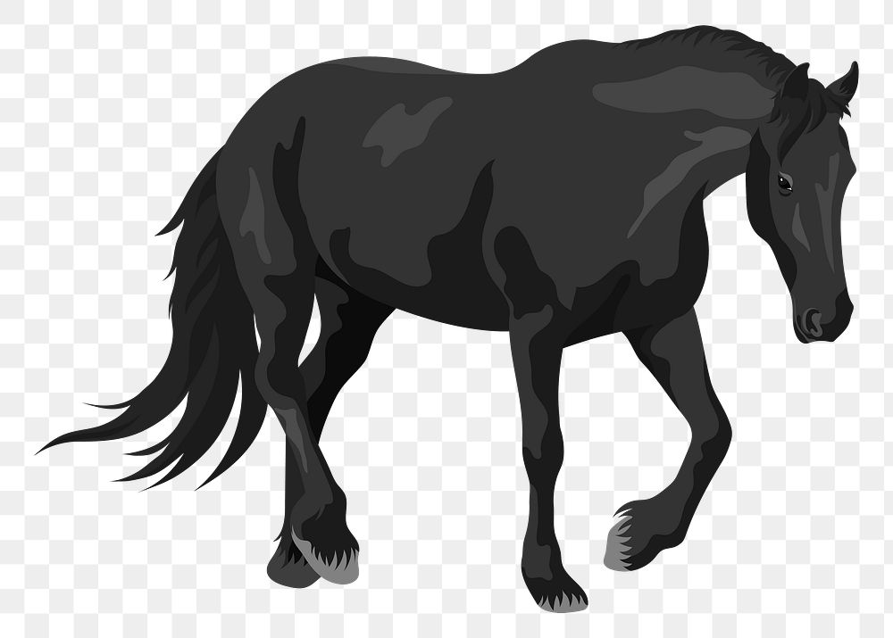 PNG black horse, animal illustration sticker, transparent background