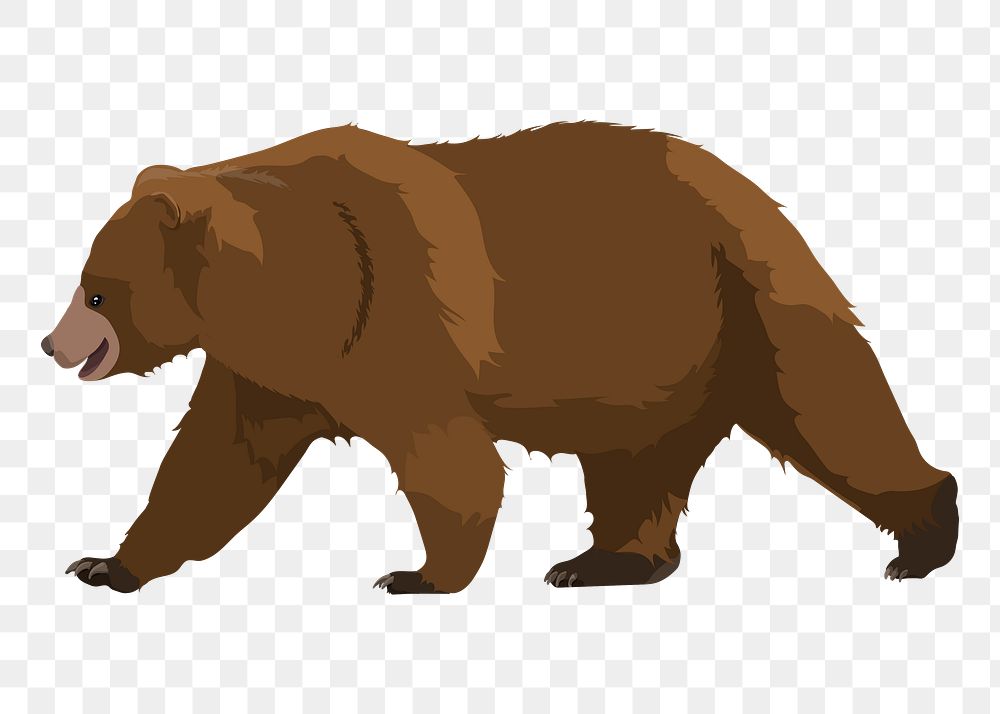 Brown bear png, walking illustration sticker, transparent background