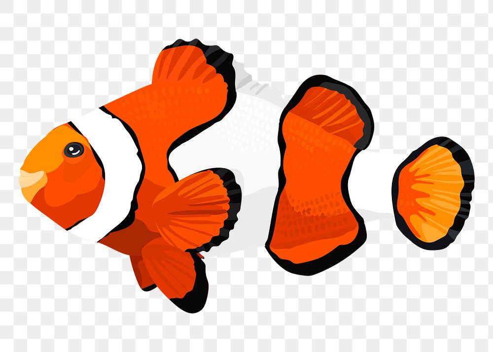 Clownfish png, pet animal illustration sticker, transparent background