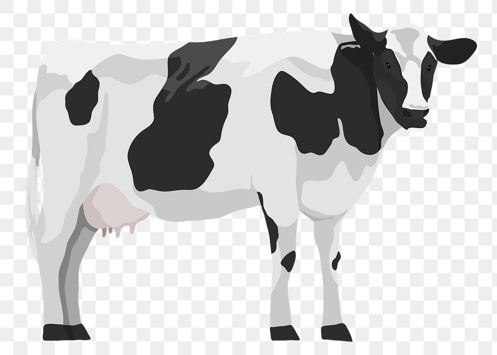 Dairy cow png illustration, farm animal, digital sticker, transparent background