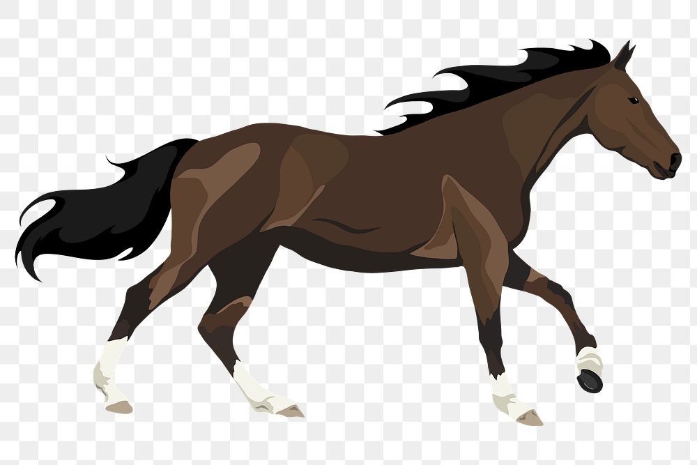Brown horse png galloping, animal illustration sticker, transparent background