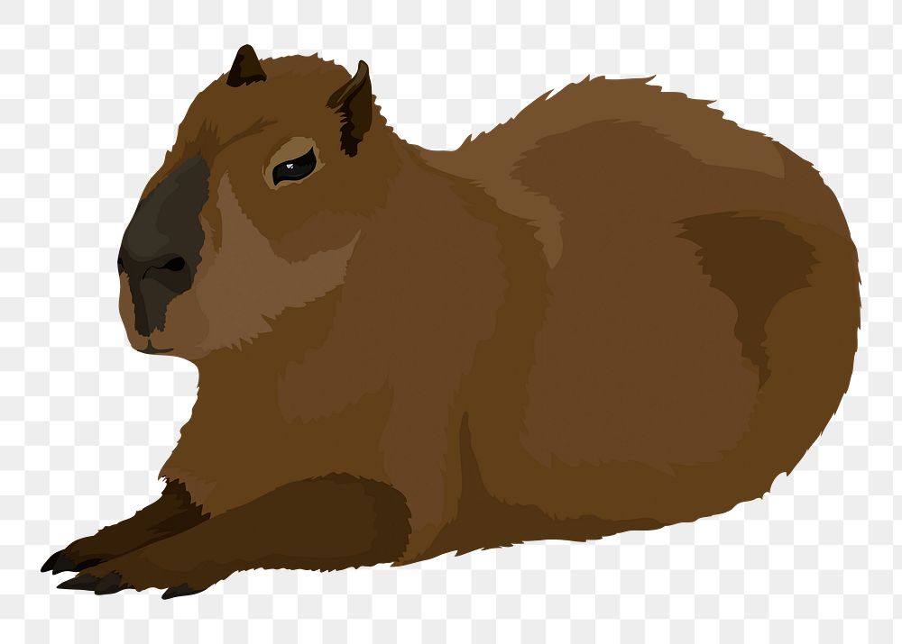 Water hog png illustration, capybara sticker, rodent animal, transparent background