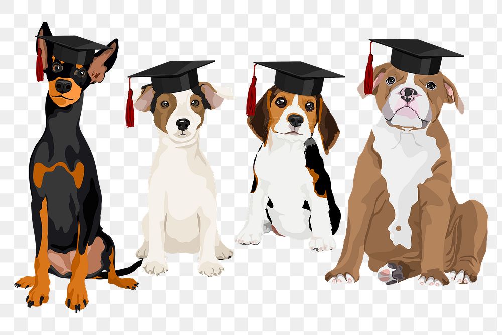 Smart dogs png, education and graduation sticker, transparent background