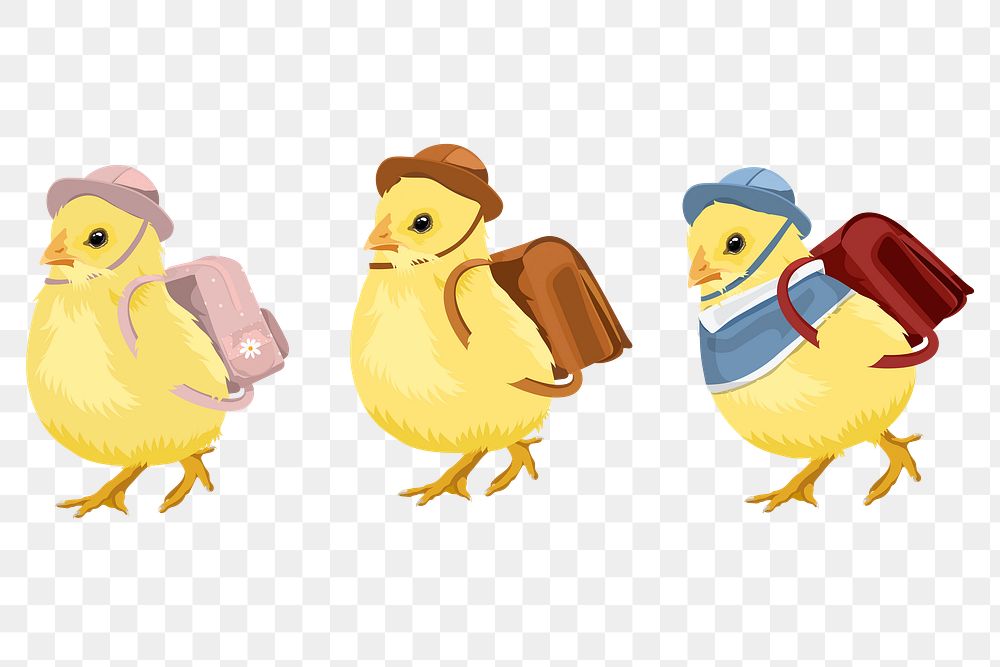 PNG baby chicks, kindergarten students illustration sticker, transparent background