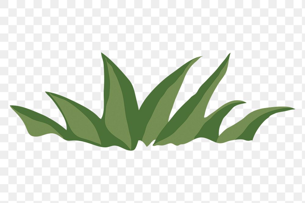 PNG green grass illustration, nature element clipart digital sticker, transparent background