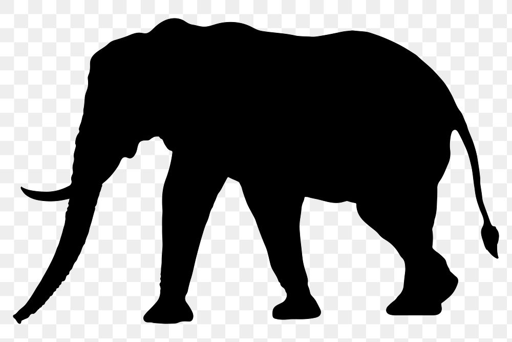 Elephant png silhouette sticker, safari animal illustration clipart, transparent background