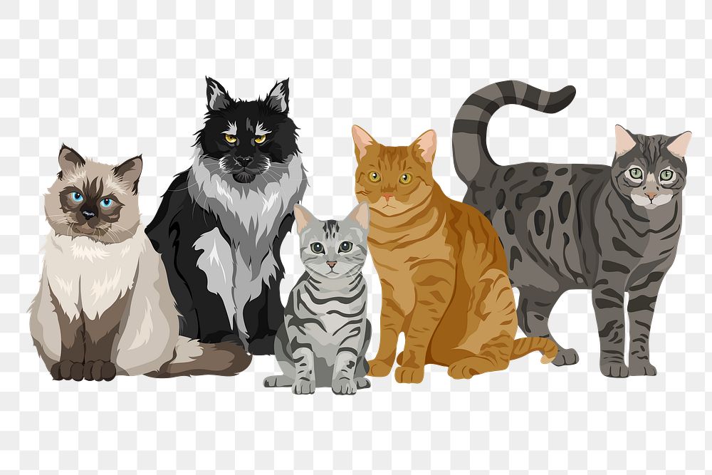 PNG cats and kitten, different breeds sticker, animal illustration, transparent background
