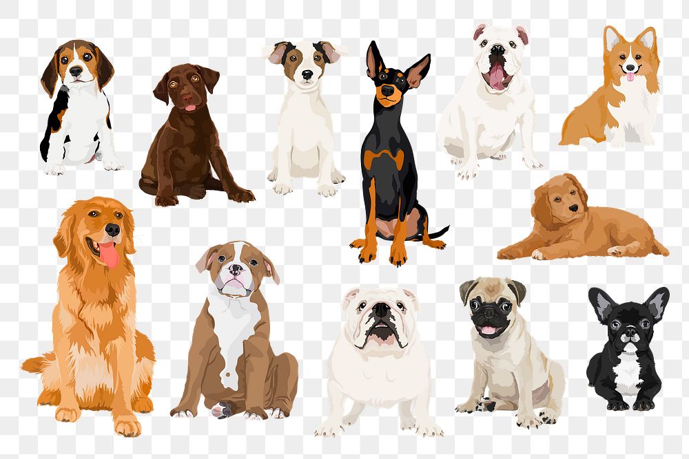 PNG pet dogs sticker illustration set, different breeds, transparent background