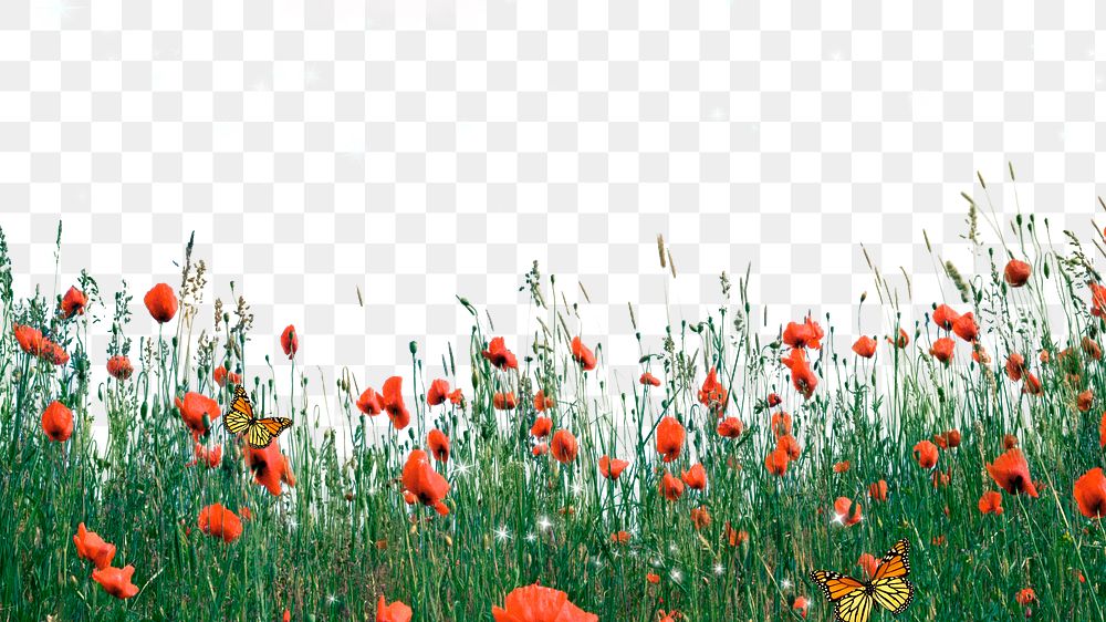 Flower field png border, red poppy, bling design on transparent background