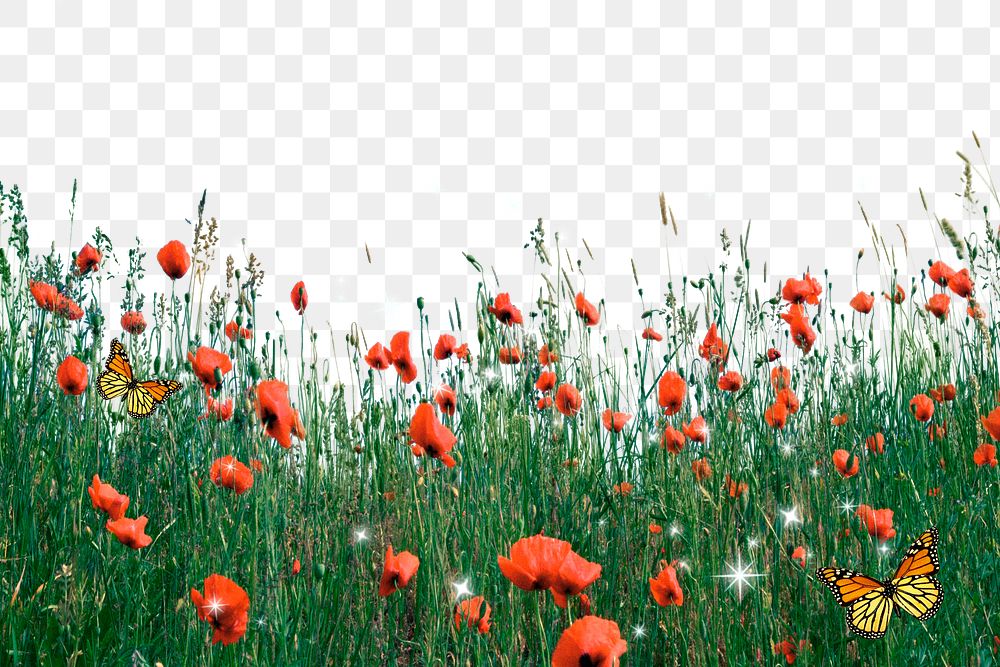 Flower field png border, red poppy, bling design on transparent background