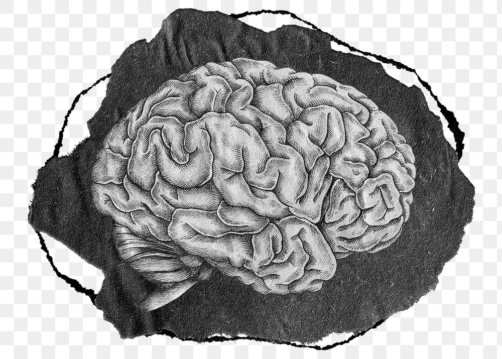 Brain png sticker, gray ripped paper transparent background