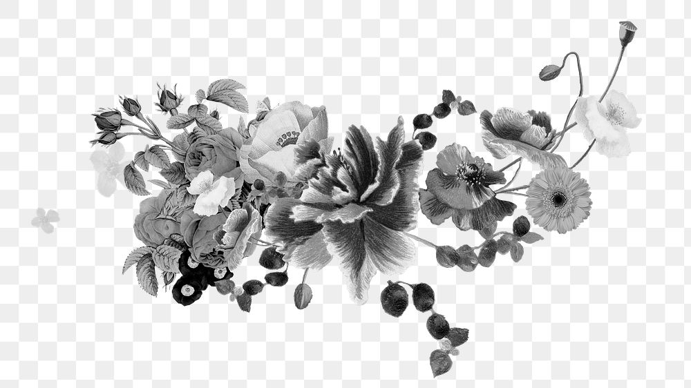 Gray flower png divider, botanical transparent background