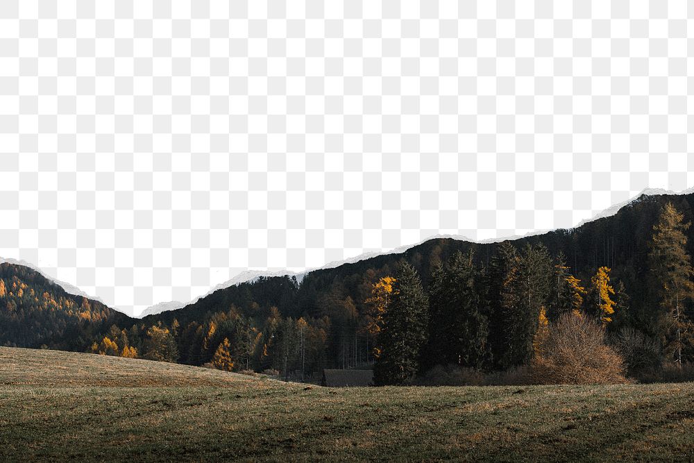 Autumn forest png ripped paper border, transparent background