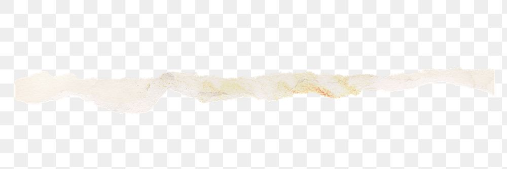 Png ripped paper divider element, transparent background