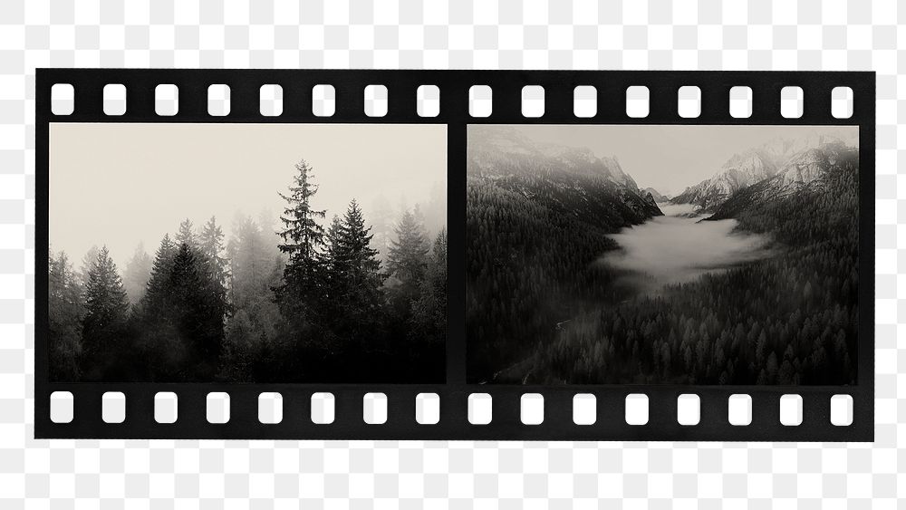 Analog film strip png sticker, nature images, transparent background