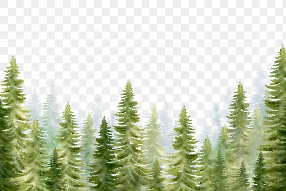 Forest png, watercolor nature collage element, transparent background