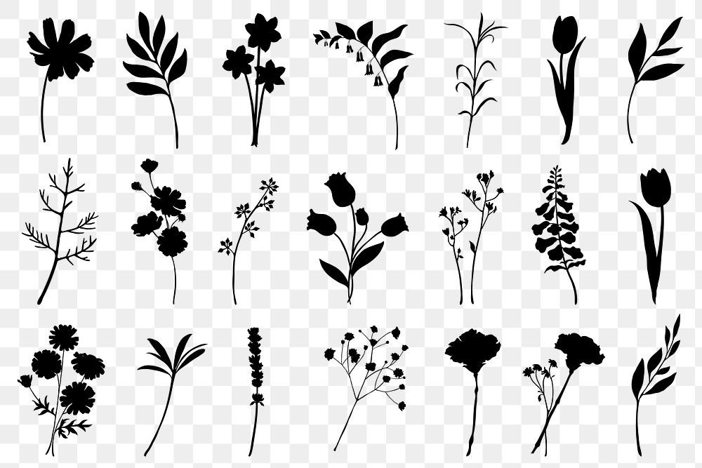 Flowers silhouette png, spring collage element, transparent background