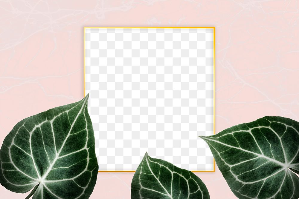 Square golden nature frame on a pink background design element