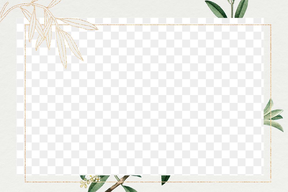 Green olive leaves png frame design space