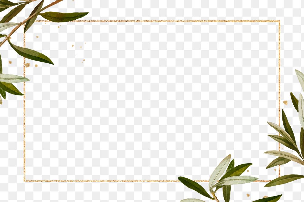 Olive branches frame png hand drawn border design space