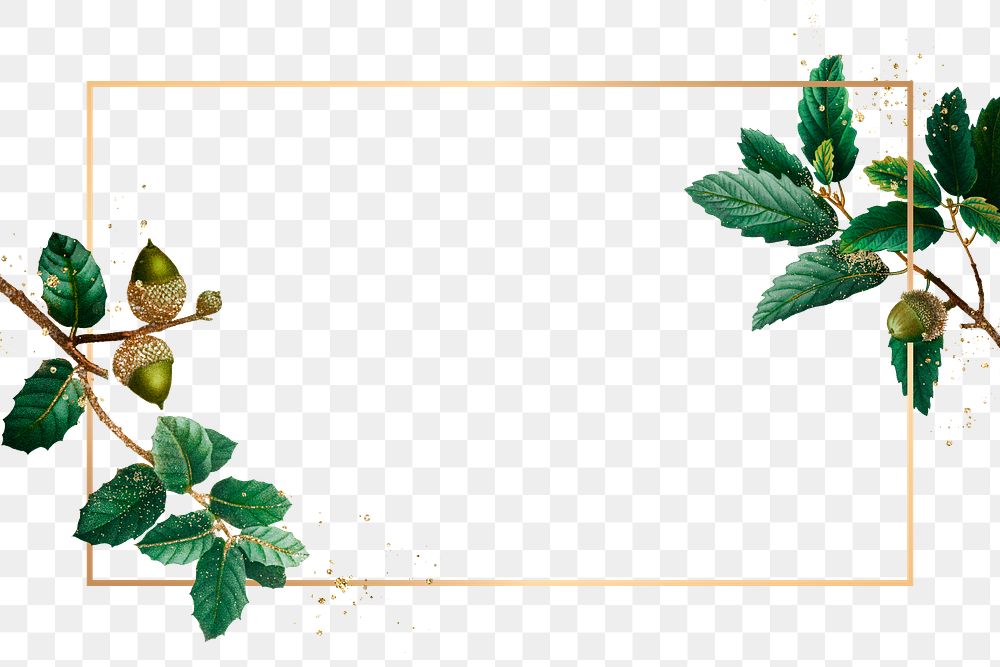 Botanical frame png oak leaf branches pattern border