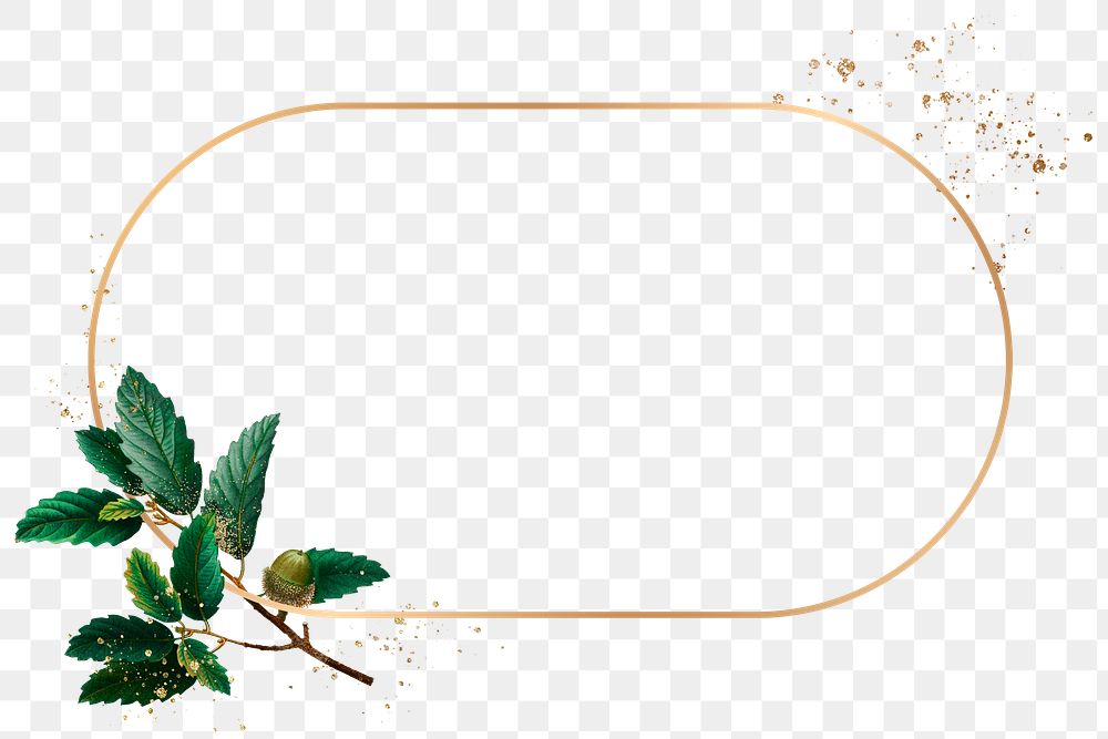Oval frame png acorn green leaf 