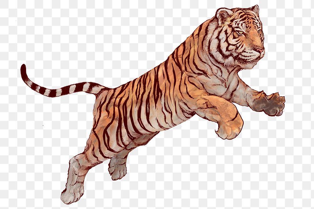 Hand drawn jumping tiger overlay
