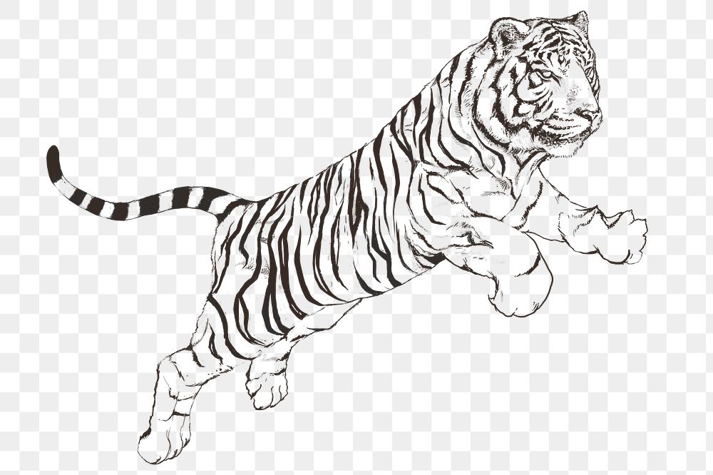 Hand drawn jumping tiger overlay