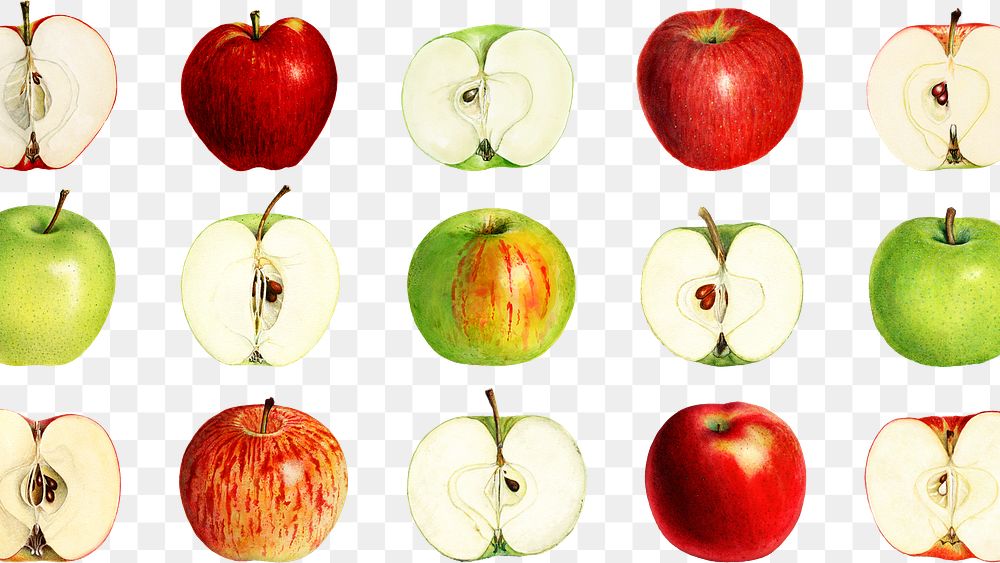 Hand drawn fresh apple patterned background