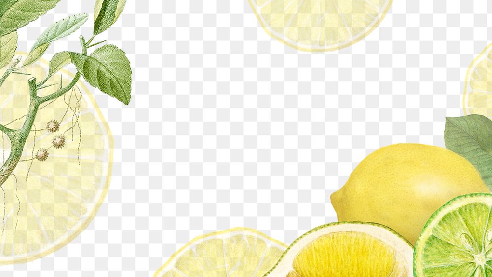 Hand drawn natural fresh lemon frame