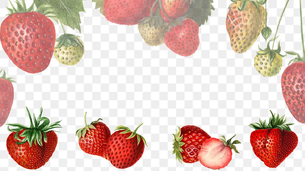 Hand drawn natural fresh strawberries frame illustration