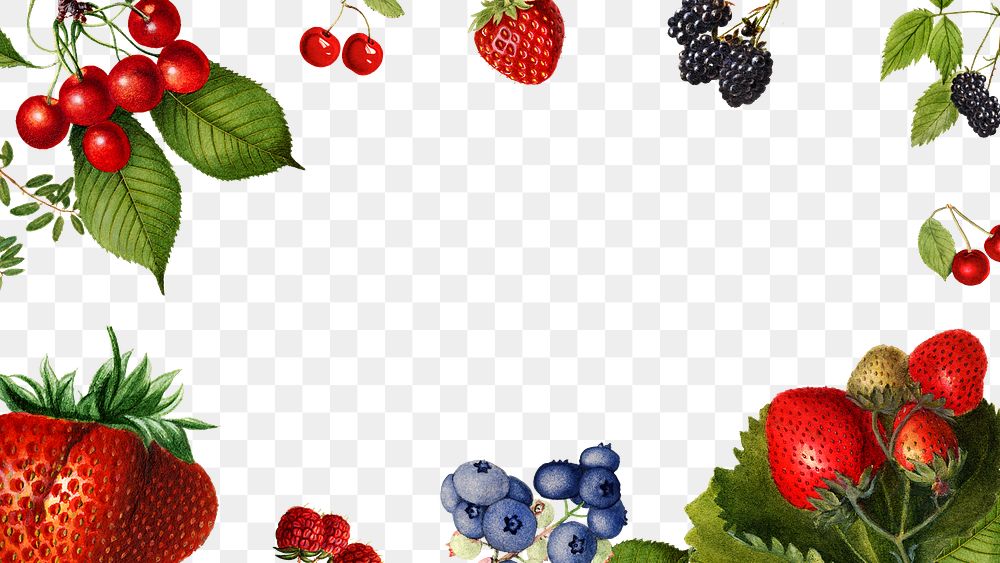 Hand drawn mixed berries frame design element