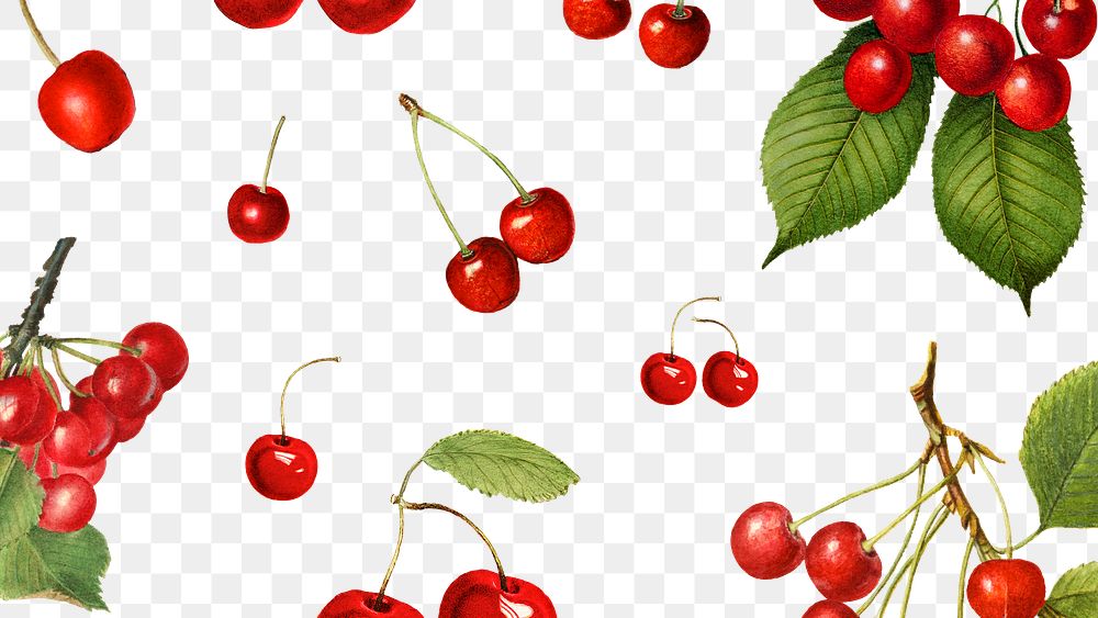 Hand drawn natural fresh red cherry patterned background