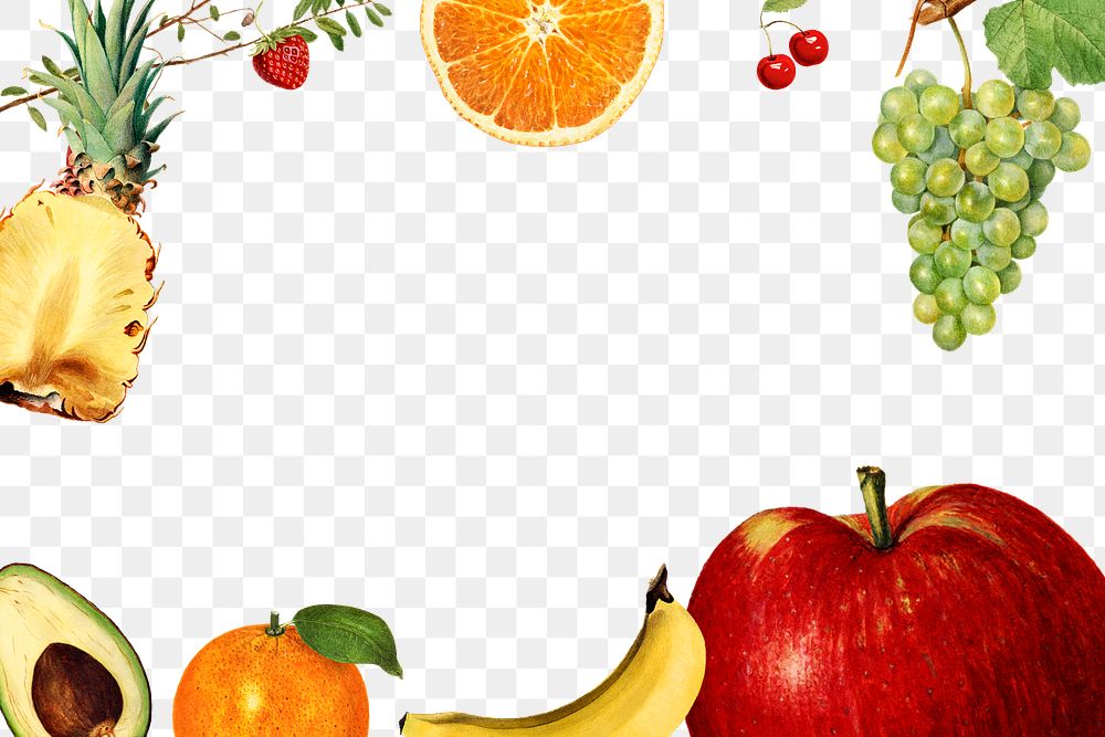 Hand drawn mixed tropical fruits frame design element