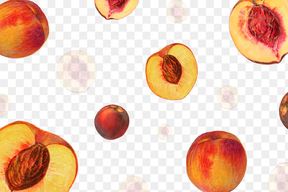 Hand drawn natural fresh peach patterned layer