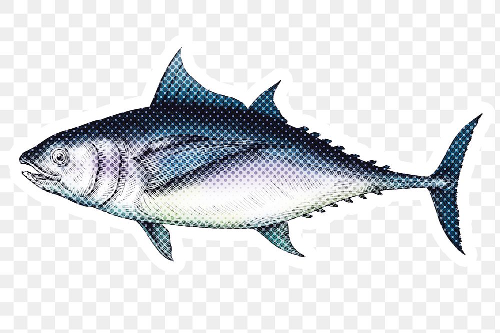 Hand drawn tuna fish with a face halftone style sticker overlay with a white border