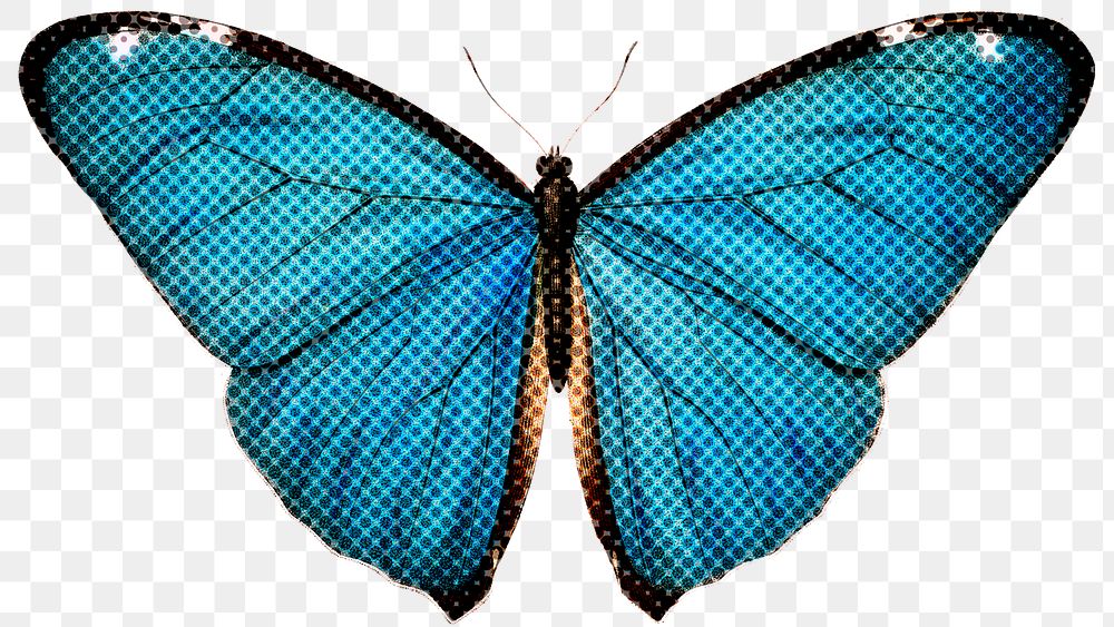 Halftone common blue butterfly sticker design element