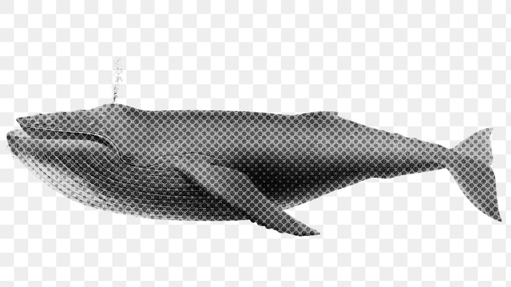 Halftone Humpback whale sticker design element