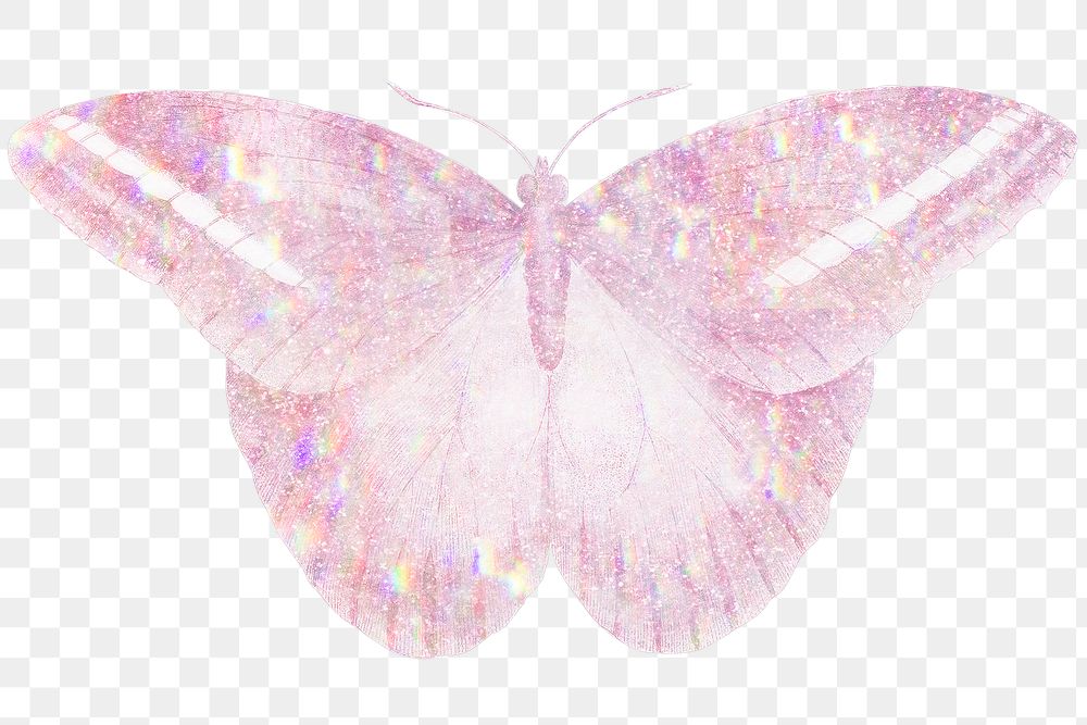 Pink holographic great occidental butterfly sticker